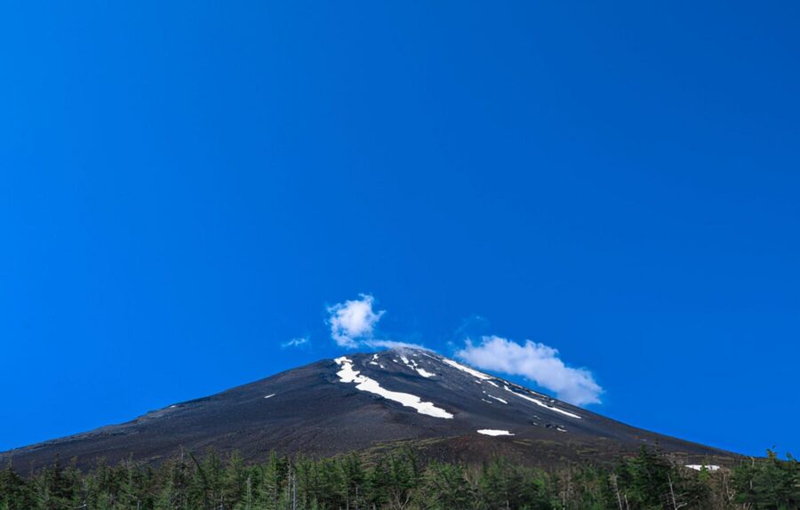 Tokyo: Customized Mt Fuji & Hakone Full-Day Private Tour - Saiko Lake and the Fuji Sengen Shrine