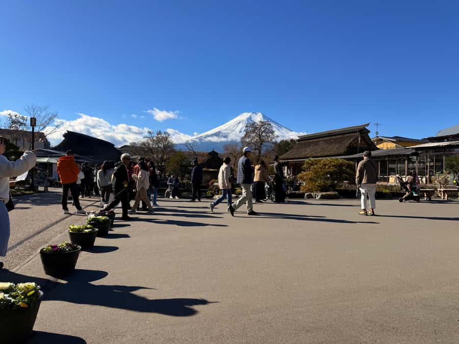 Tokyo: Customized Mt Fuji & Hakone Full-Day Private Tour - Kachi Kachi Ropeway: a short ride with a wide view