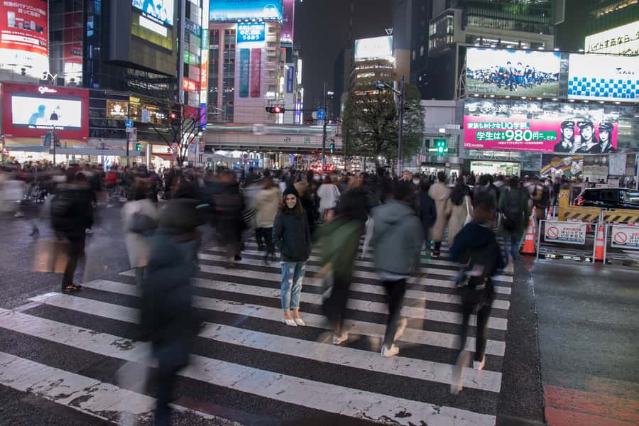 Tokyo: Evening Photography Tour - Shibuya Crossing or a panoramic government-building view