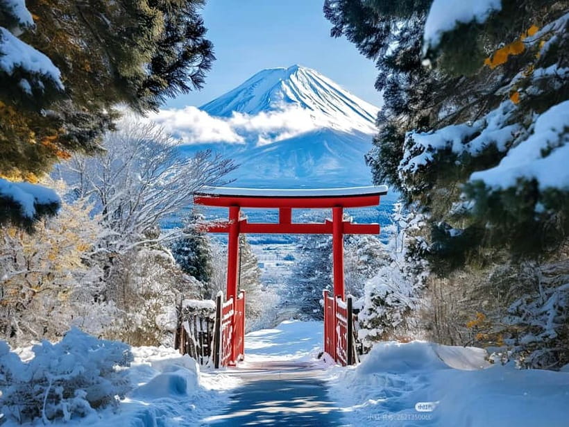 Tokyo: Mt. Fuji & Lake Kawaguchi Instagram Full Day Trip - Why this Mount Fuji day trip works