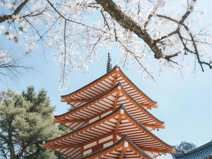 Tokyo: Mt. Fuji & Lake Kawaguchi Instagram Full Day Trip - Fujiyoshida and the Hikawa Clock Shop