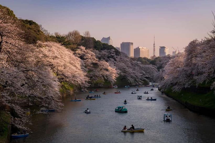 Tokyo: Photography Masterclass - Private Photo Lesson - Why Tokyo works so well for a camera lesson
