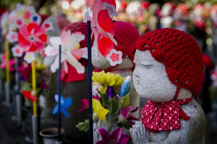 Tokyo: Photography Masterclass - Private Photo Lesson - Hachiko and the first Shibuya frames