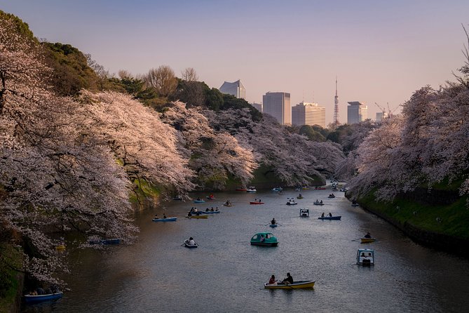 Tokyo Photography Masterclass - Private Photography Lesson - Shibuya and Harajuku for street photography