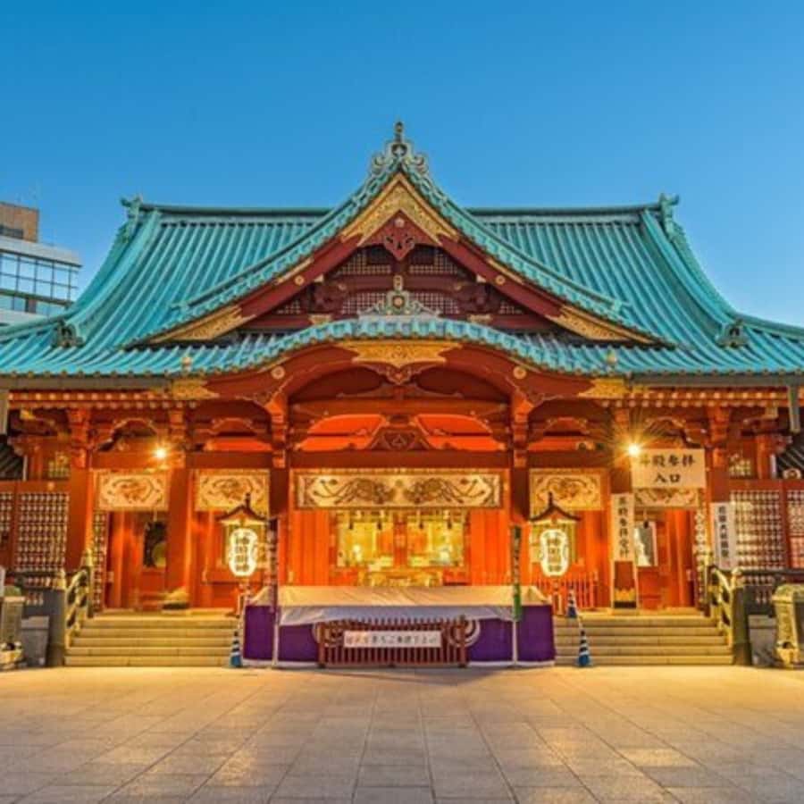 Tokyo: Private Instagramable Customised Tokyo City Day Tour - Key points at a glance
