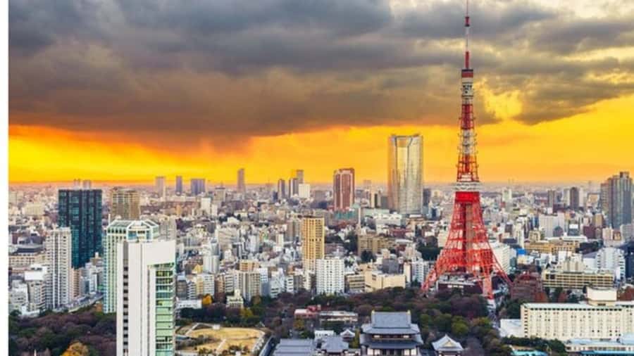 Tokyo: Private Instagramable Customised Tokyo City Day Tour - A private way to connect Tokyo’s far-flung sights
