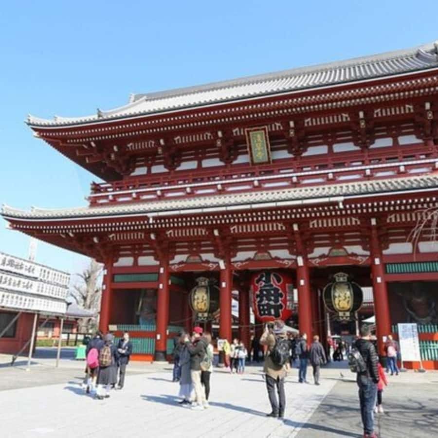 Tokyo: Private Instagramable Customised Tokyo City Day Tour - Tsukiji Fish Market for food and atmosphere