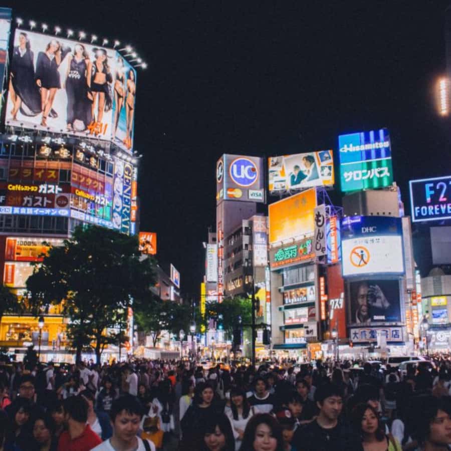 Tokyo: Private Instagramable Customised Tokyo City Day Tour - Shibuya Crossing and Tokyo Tower