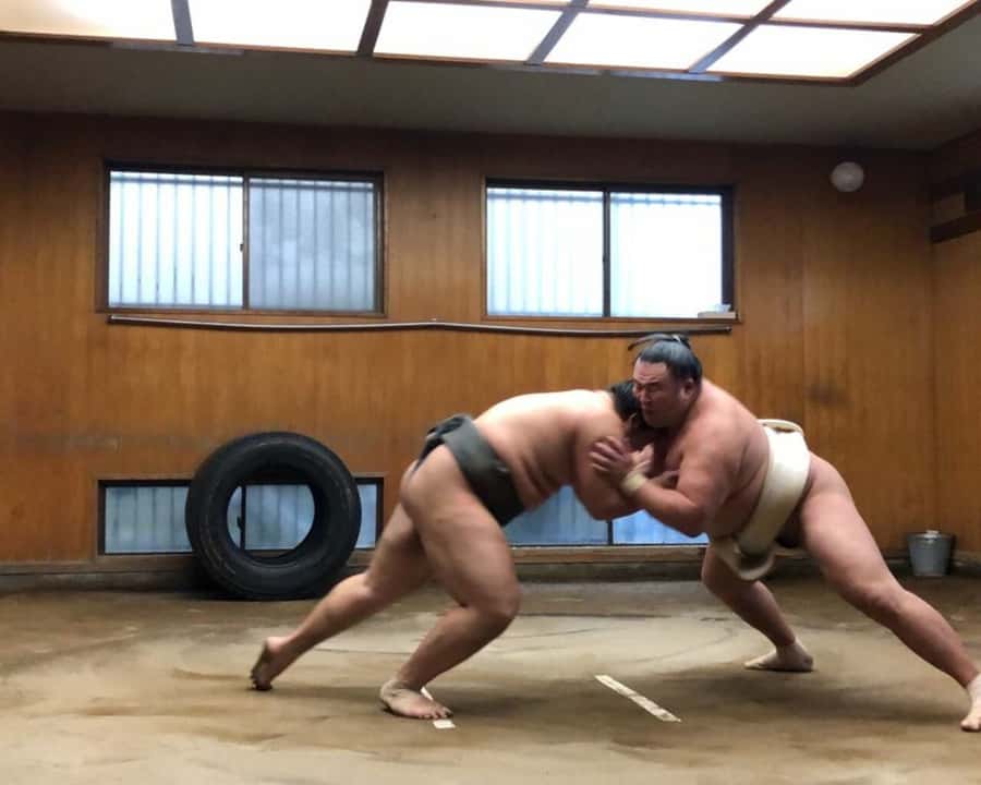 Tokyo: Sumo Morning Practice Tour in Ryogoku and Photo Shoot - Meeting at JR Ryogoku Station