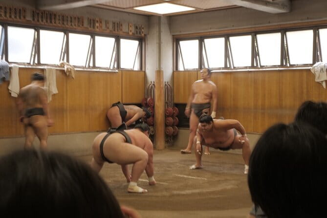 Tokyo Sumo Morning Practice Tour w/ Ring-Side Seat + Photo Shoot - Meeting at 8:30 near Kiyosumi Shirakawa