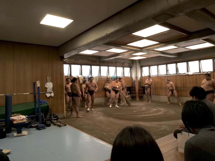 Tokyo: Sumo Practice Tour with Ring-Side Seat and Photoshoot - What you will see during the two-hour practice