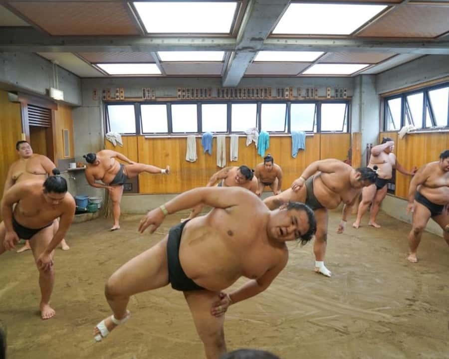 Tokyo: Sumo Practice Tour with Ring-Side Seat and Photoshoot - Understanding ranks, rituals, and stable life
