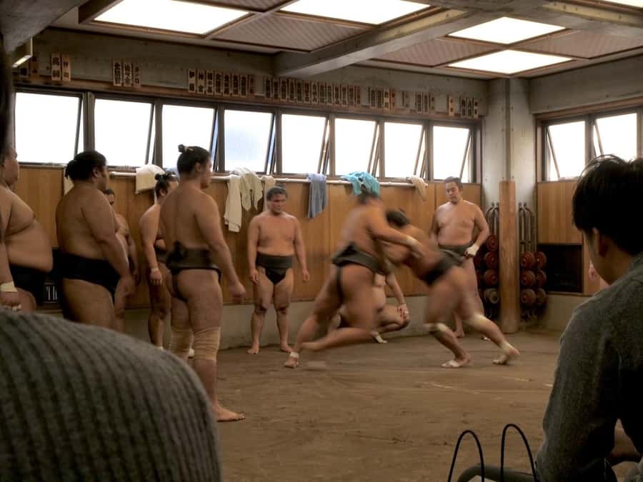 Tokyo: Sumo Practice Tour with Ring-Side Seat and Photoshoot - Seating, comfort, and the view