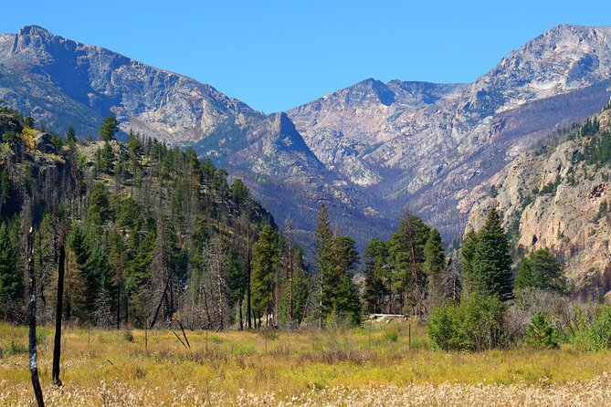 Top of the World Tour (Wildside 4x4 Tours) - Trail Ridge Road and the ride back