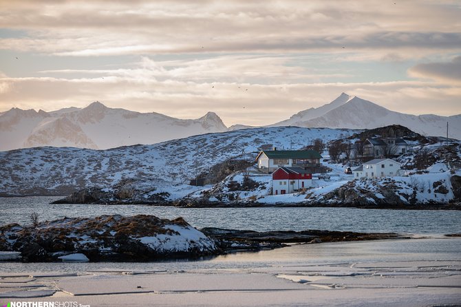 Tromsø: Day trip to the island of Sommarøy through the Fjords - Is $150.63 a fair price?
