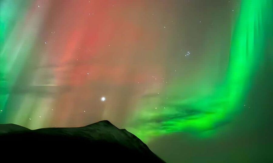 Tromsø: Northern Lights Bus Tour with Free Photography - The Guides Make a Big Difference