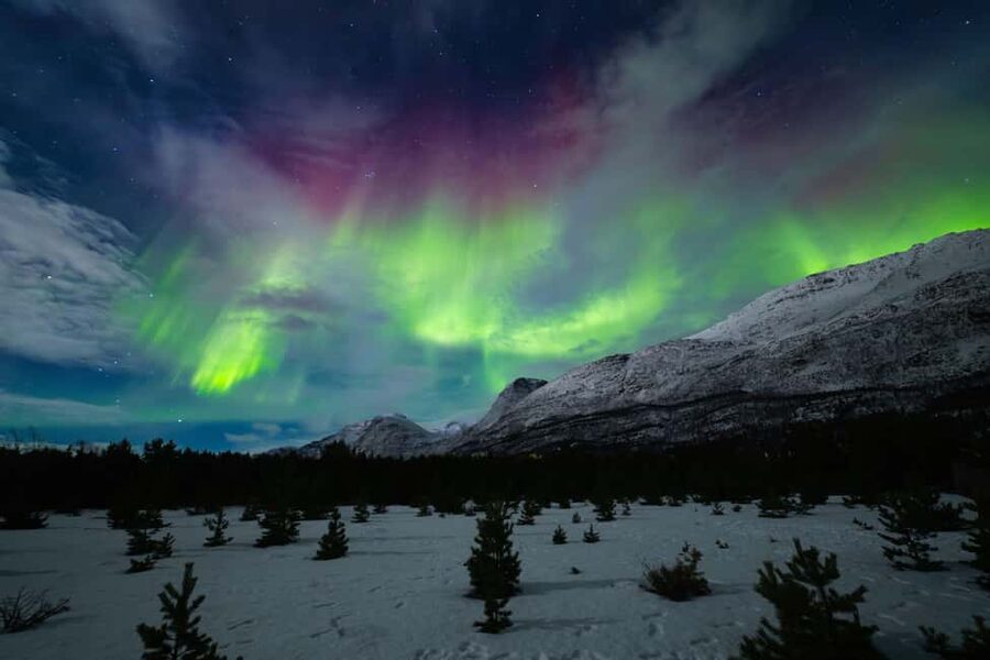 Tromsø: Northern Lights Photography Tour - Photography help for beginners and camera owners