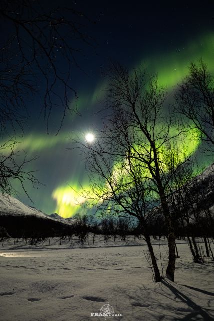 Tromso: Northern Lights Tour with Photographer - The campfire, meal, and warmth factor