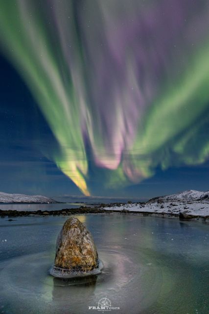 Tromso: Northern Lights Tour with Photographer - Who will enjoy this night most