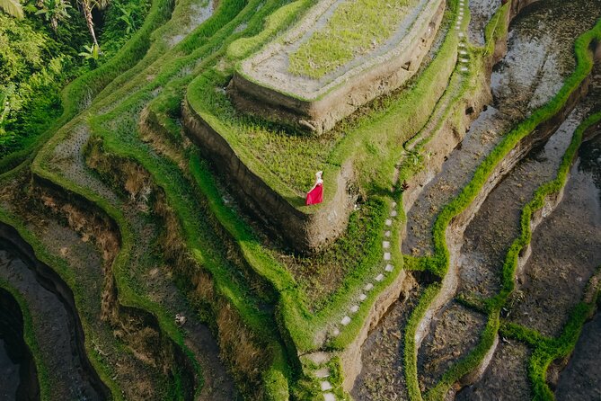 UBUD Instagram Spot Tour with Photographer - Tegalalang Rice Terrace: beautiful, uneven, and sometimes muddy