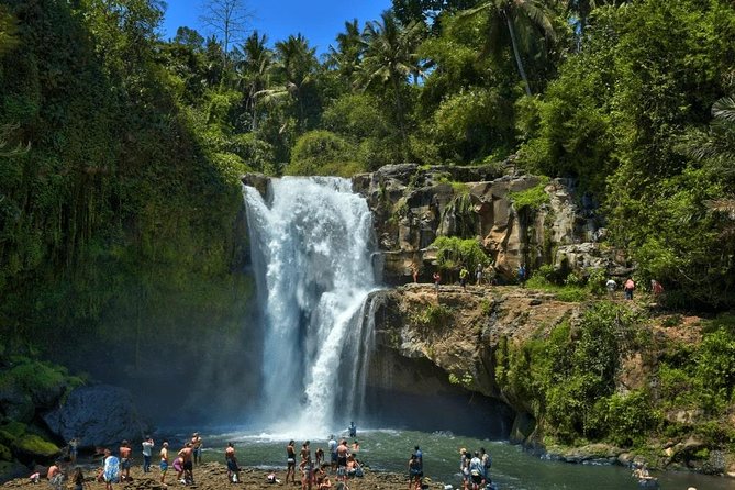 Ubud Instagram: Waterfall Tours - Why a private driver changes the day