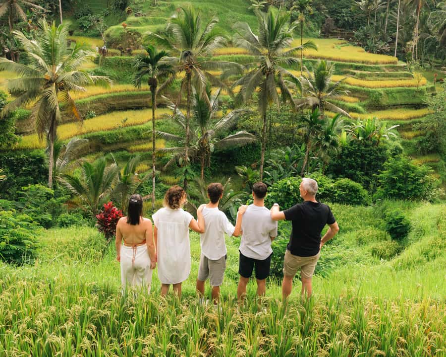 Ubud: Private Tour with Professional Photographer - Pickup, driving, and the shape of the day