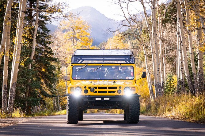 Winter Wonderland Adventure Tour | Sledding (Wildside 4x4 Tours) - A winter ride with more to do than look out the window