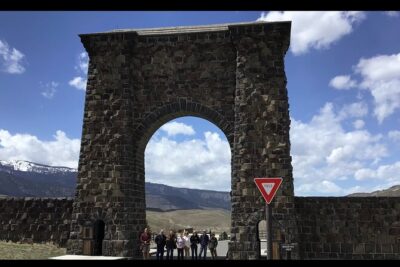 Yellowstone Wildlife and Photo Tours “Upper Loop” Tour From Cody