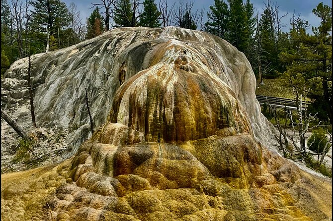 Yellowstone Wildlife and Photo Tours “Upper Loop” Tour From Cody - Obsidian Cliff adds a geological surprise